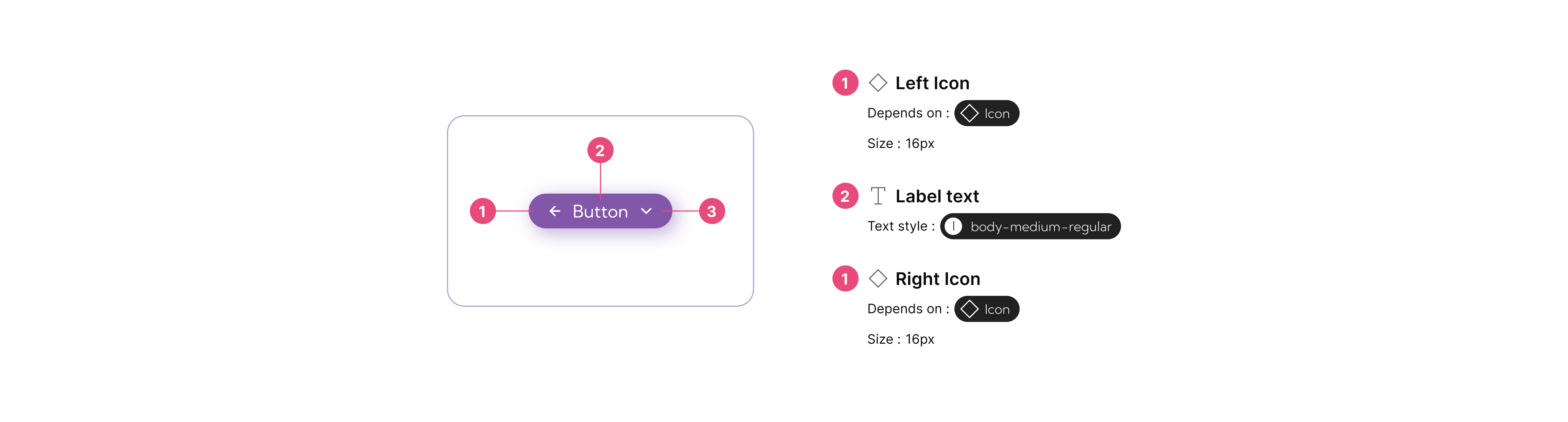 Anatomy example